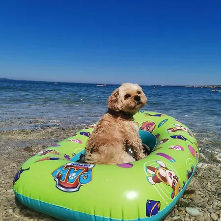 Lägenhet Lux Benak - Barbara Zadar