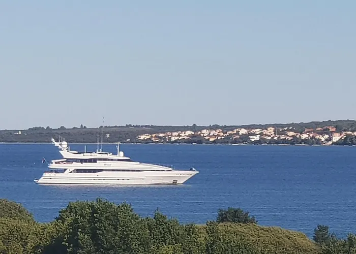 Lux Benak - Barbara * Zara