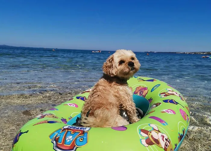 Appartamento Lux Benak - Barbara Zara